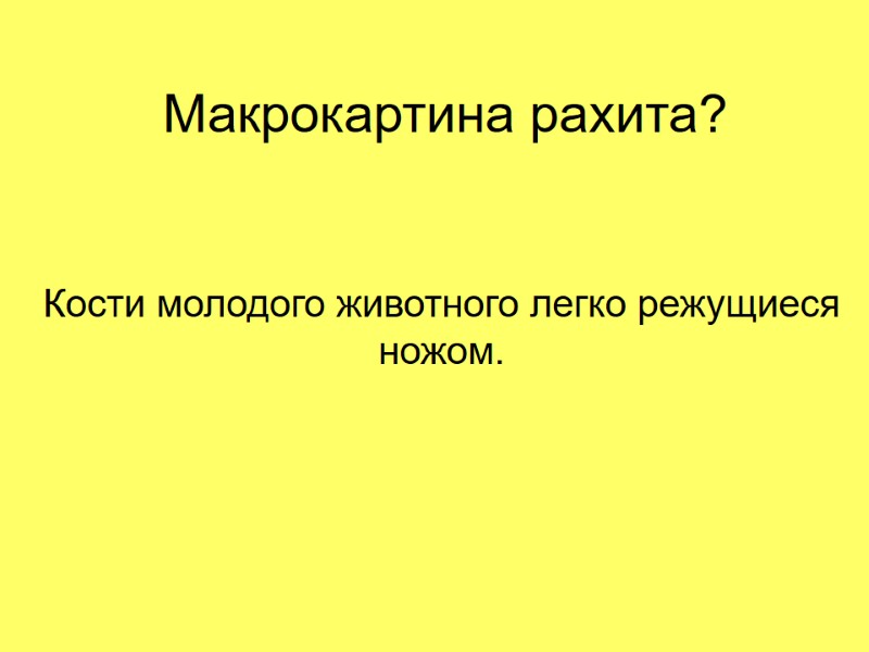 Макрокартина рахита? Кости молодого животного легко режущиеся ножом.
